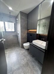 Irwell Hill Residences (D9), Apartment #566242741